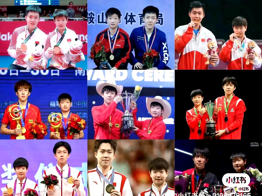 日本乒乓球队完胜瑞典乒乓球队，王皓制霸全场的简单介绍
