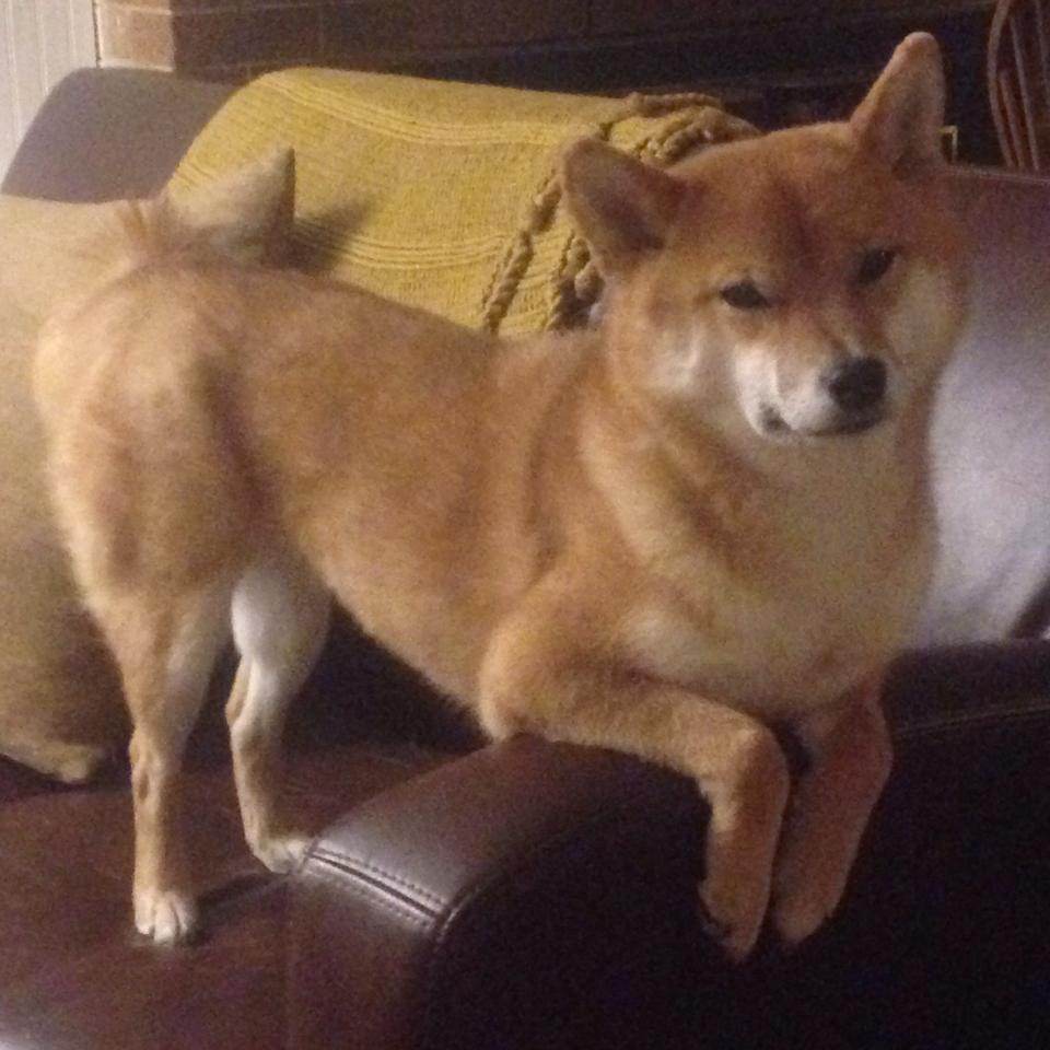 夜战,在世界的棋盘上,他用一记孤光铭刻排名